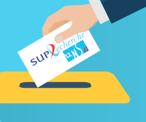 Elections au CNESER : Sup’Recherche-UNSA gagne des voix et maintient son nombre de sièges