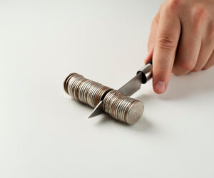 CNESER Plénier du 9 décembre 2026